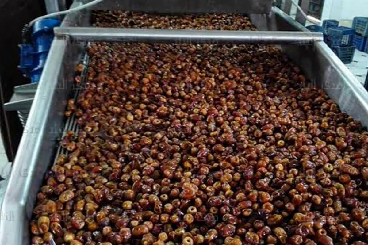 Dates Processing