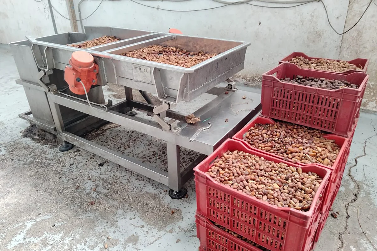 Dates Processing Equipment